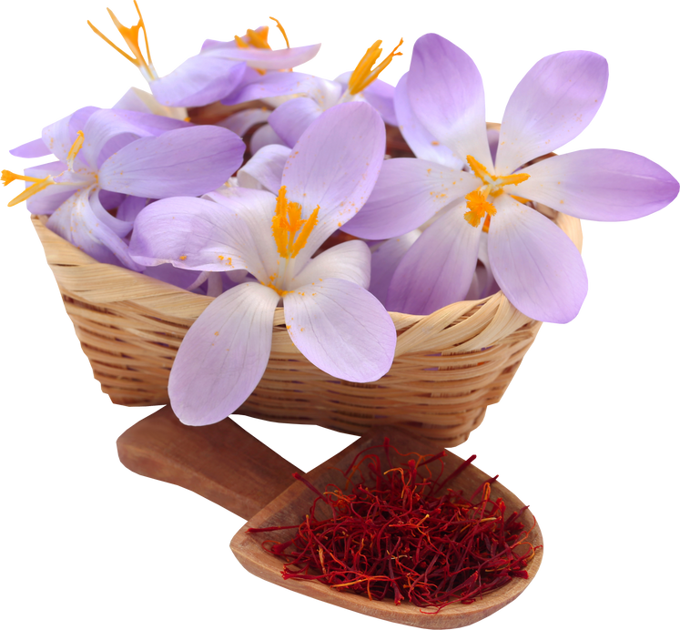 Saffron with Crocus Flower